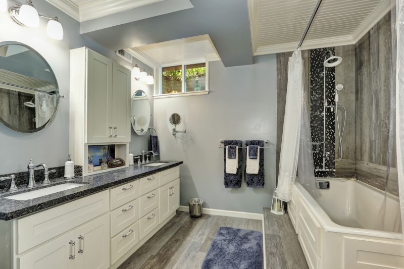 Master Bathroom Renovation